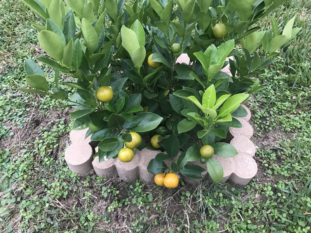 2819F828-0BBA-44E9-8A06-55AFF3ABCA10