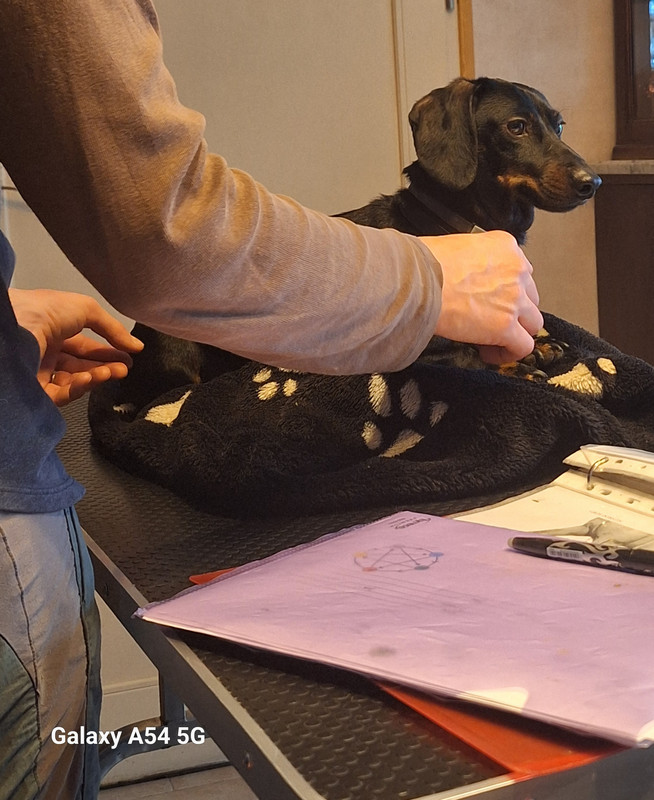 [Image: 20241107-154717.jpg]