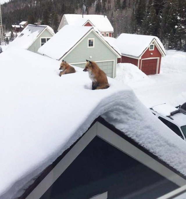 Amazing-10