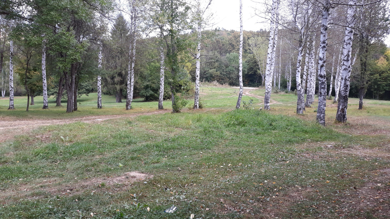 20190907_141229