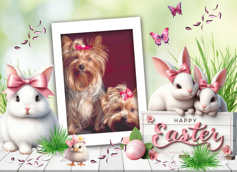 ( a 1 a Pâques PP 2