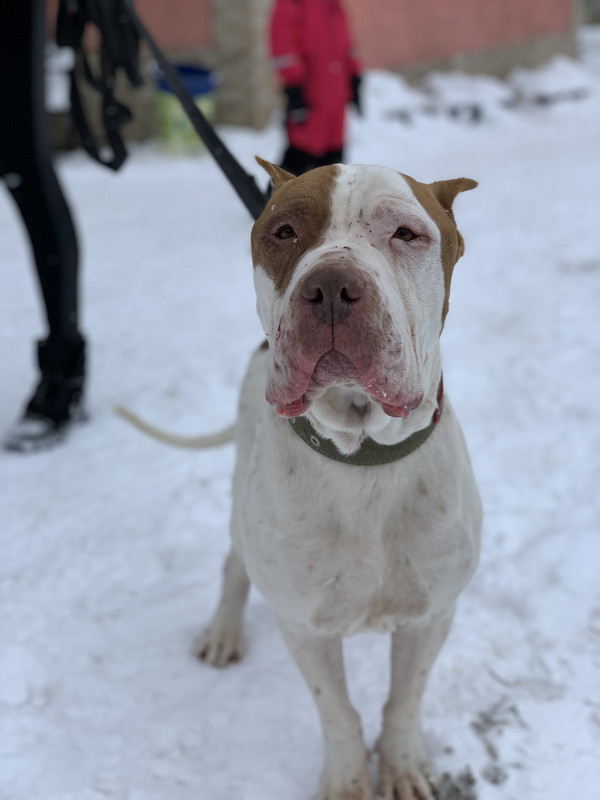 29FCBC06-E344-4451-B6D1-F49E23D902A5