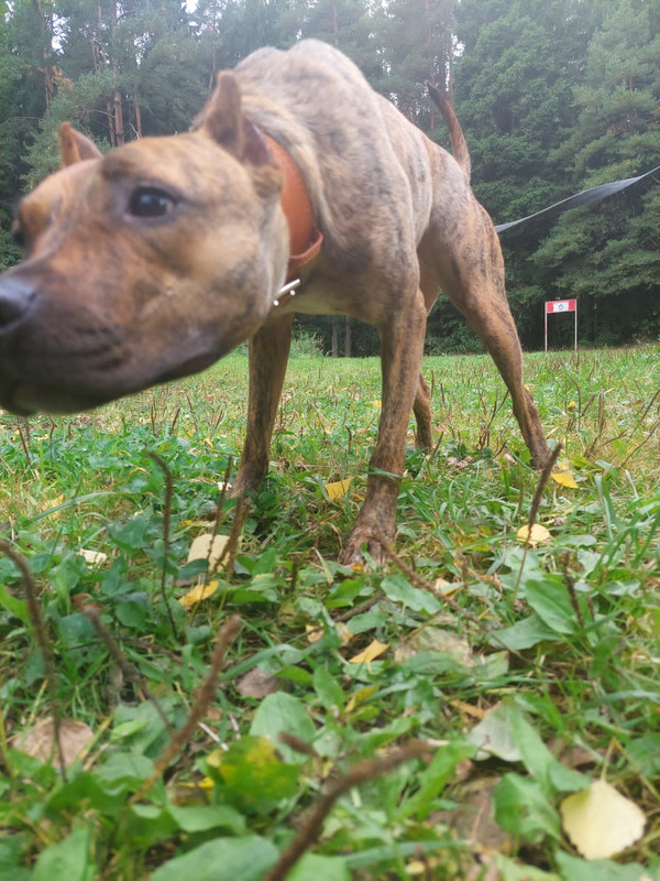 3B13DA30-17DF-4F18-A158-9E30F57738A4