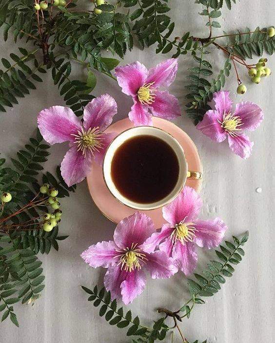 FB_IMG_1688626807208