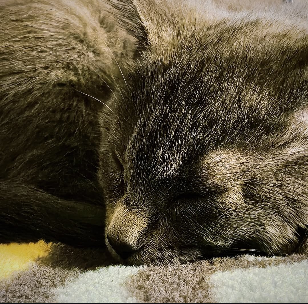 Screenshot 20251208 235036 Instagram