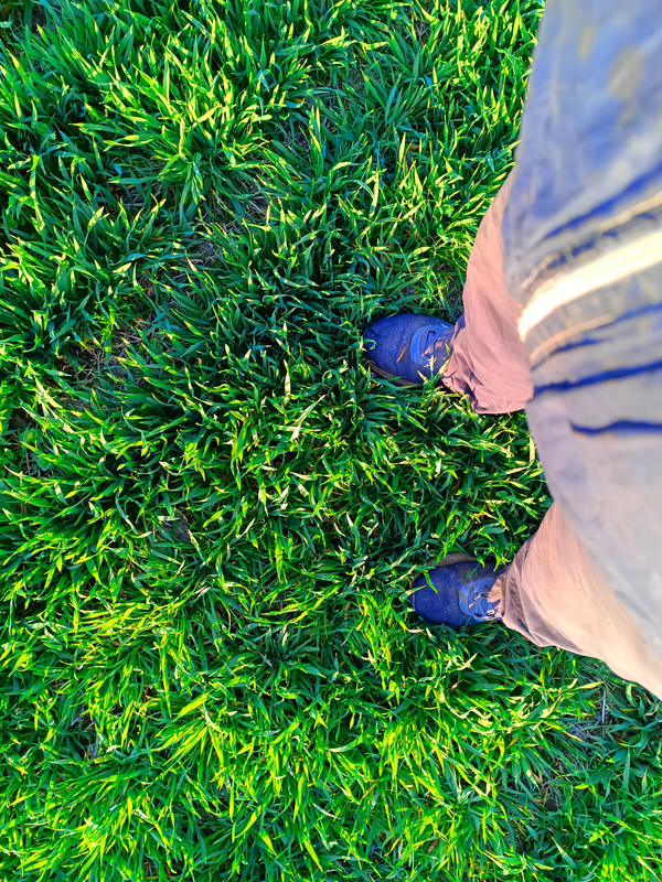 IMG 20260308 162249 950