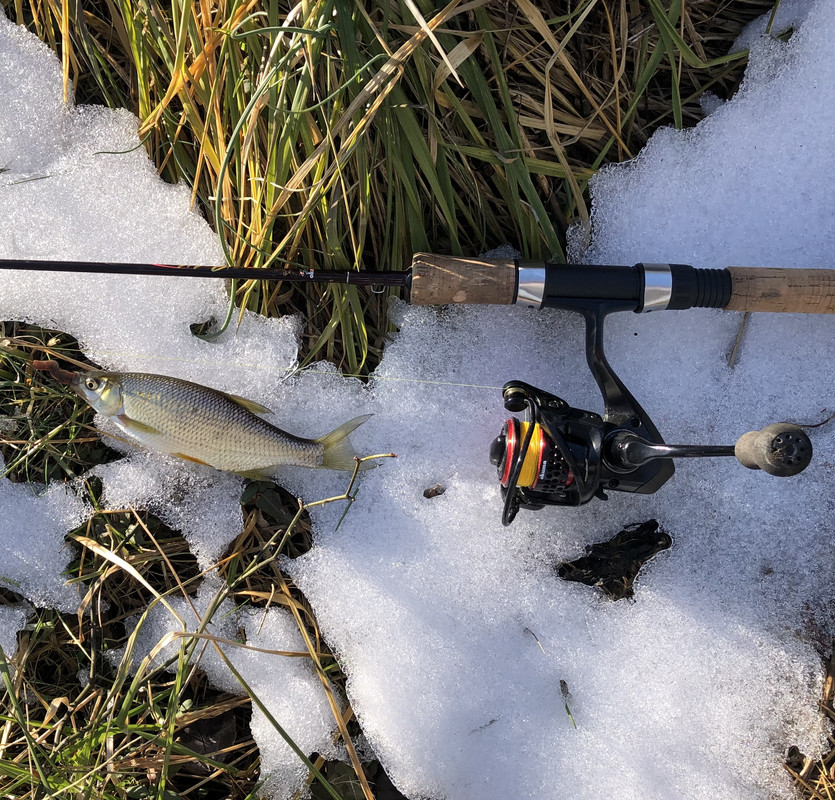 2F1C33E8-B8A2-413E-944F-7267250F990C