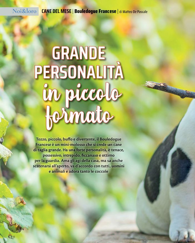 QuattroZampe Ott 2021 (7)