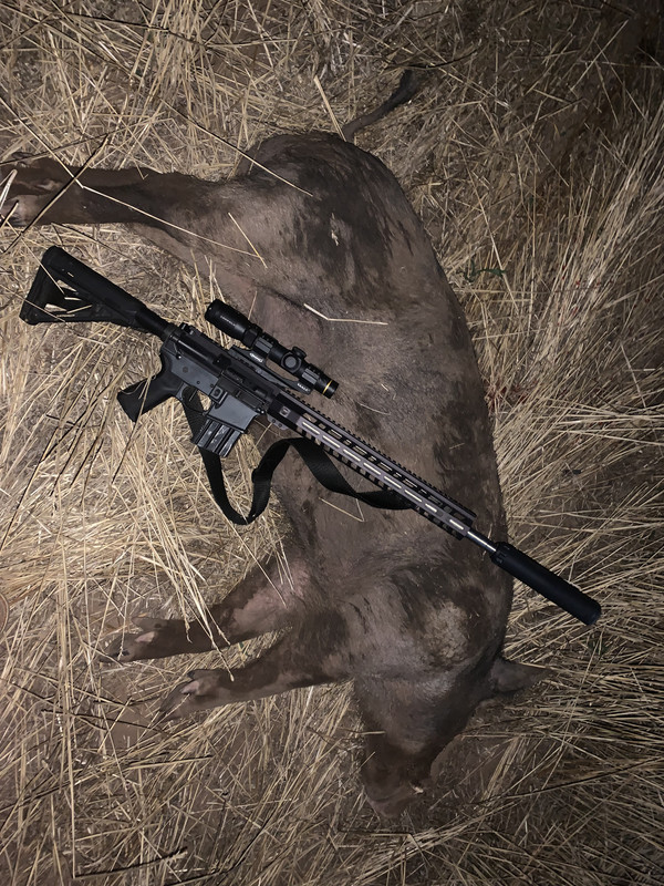 83A1A574-8182-46A9-927A-ADDE3CAC43D9