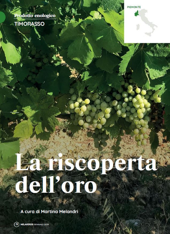 melaverde Gen 2024 (9)