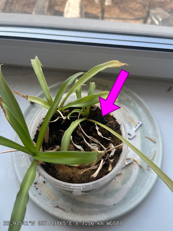 1774521446123 1774533204505