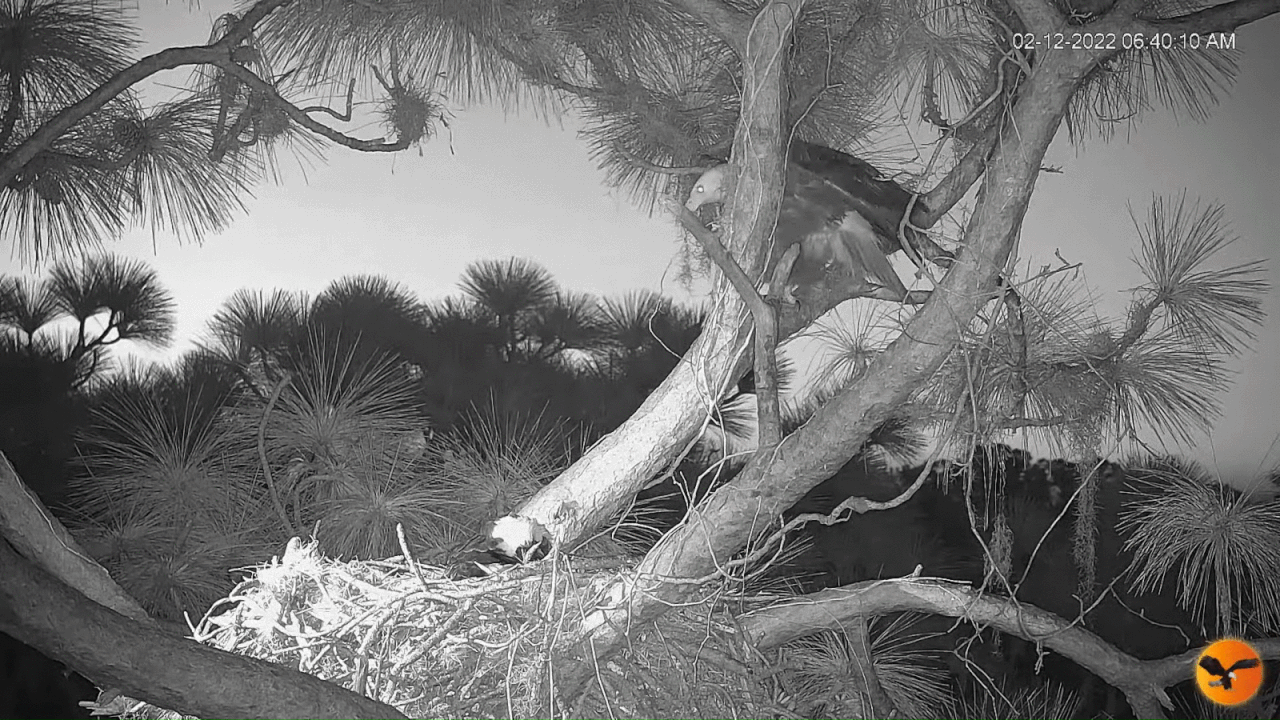 Webp.net-gifmaker (9)