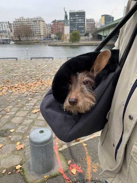 [Image: D9-D82-AEA-703-E-401-B-8-A6-A-F73911-A744-DF.jpg]