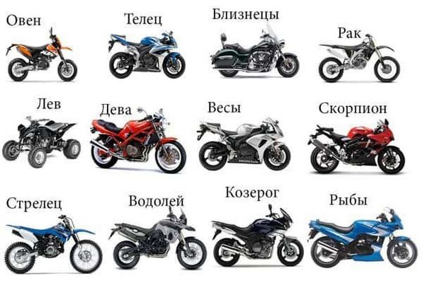 Какой тип мотоцикла подойдет Вам?