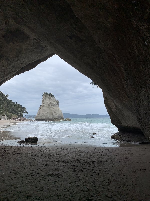 Whitianga-Matamata - Nueva Zelanda: La primavera Kiwi nos fue marcando la ruta (3)