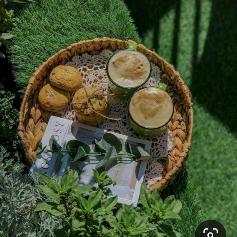 Screenshot_20230911_223725_Pinterest