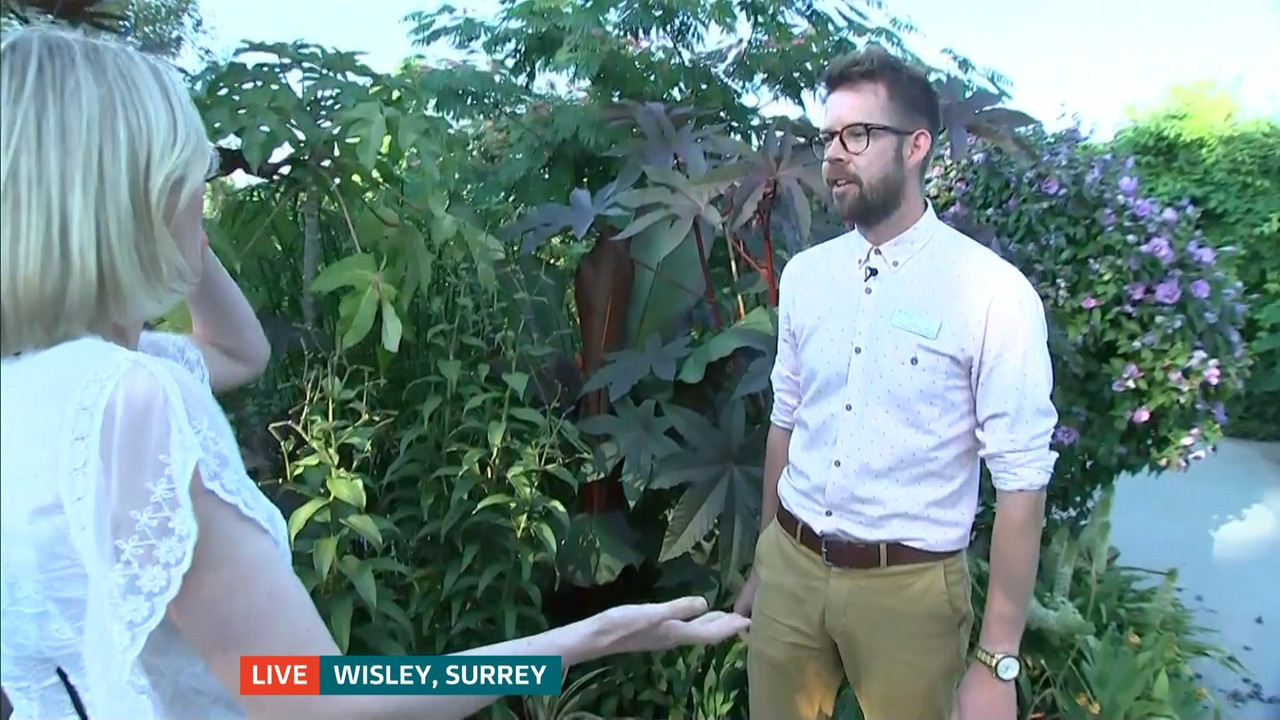 ITV News London_20220810_18001830.ts_snapshot_21.49.611