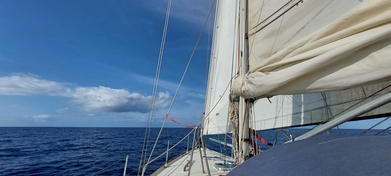 [Imagen: 20251030-102103.jpg]