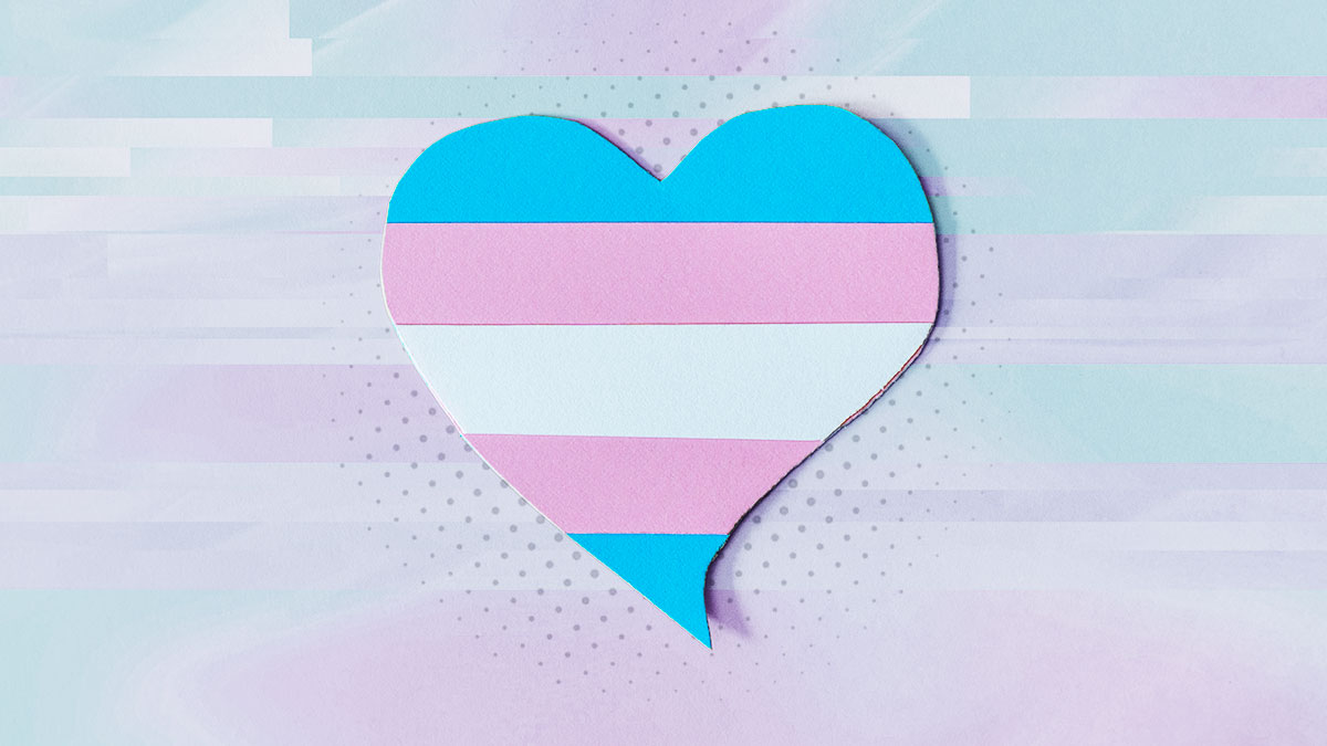 A-Nov22-17-Trans-support-1338301597-v2.jpg