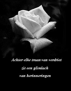 deelneming