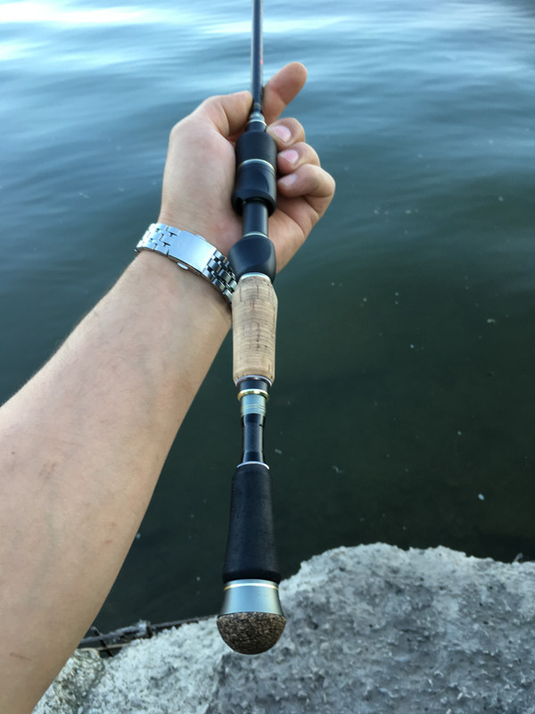 7D0F7CB5-7C81-498D-AD56-B2D9A622D5F2