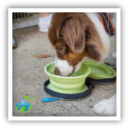 Site-Web-vignette-Instagram-Gamelle-voyage-47