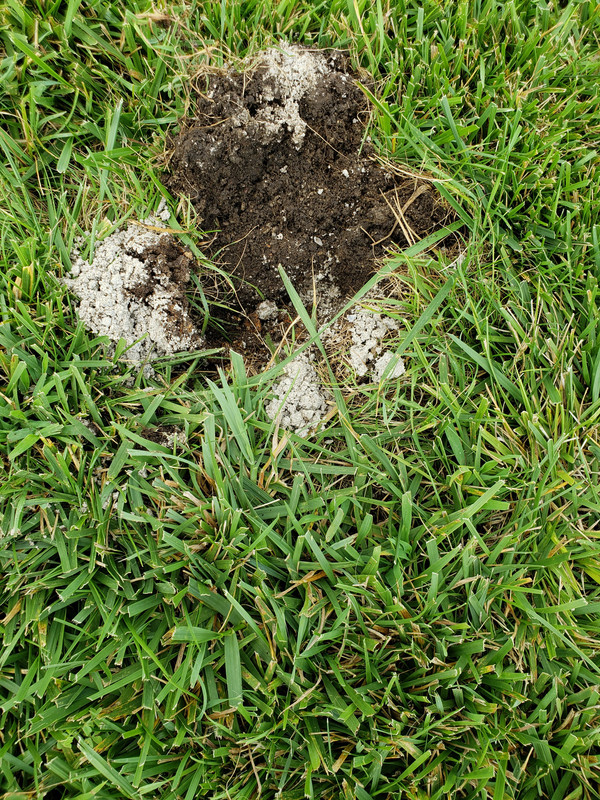 Topsoil depth Lawn Care Forum