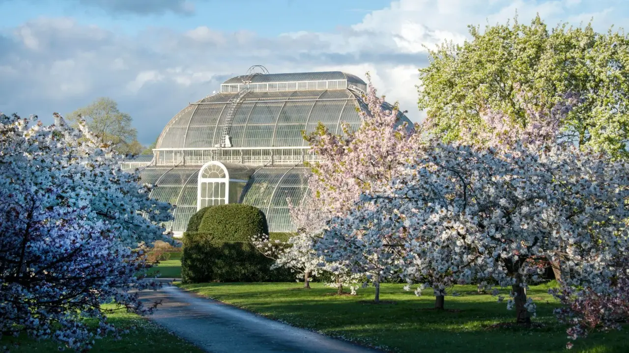 Beauty of Kew House