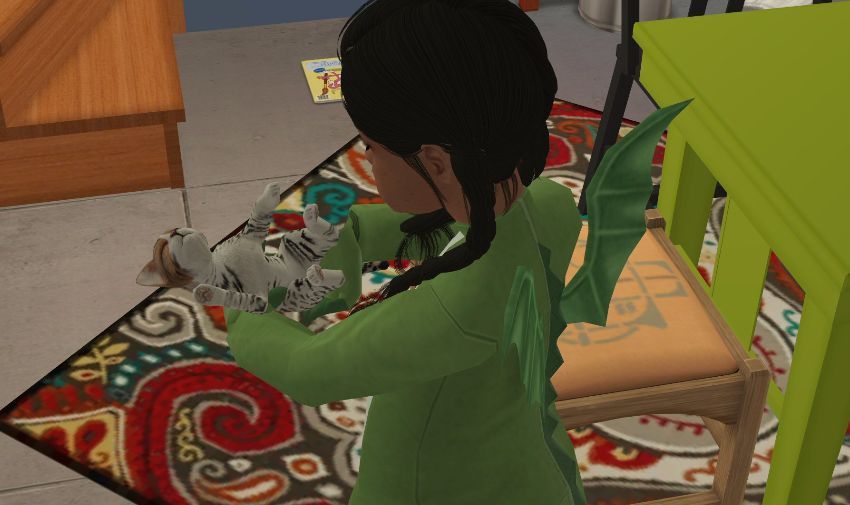 Sims2-EP9-2021-02-21-11-27-00-81