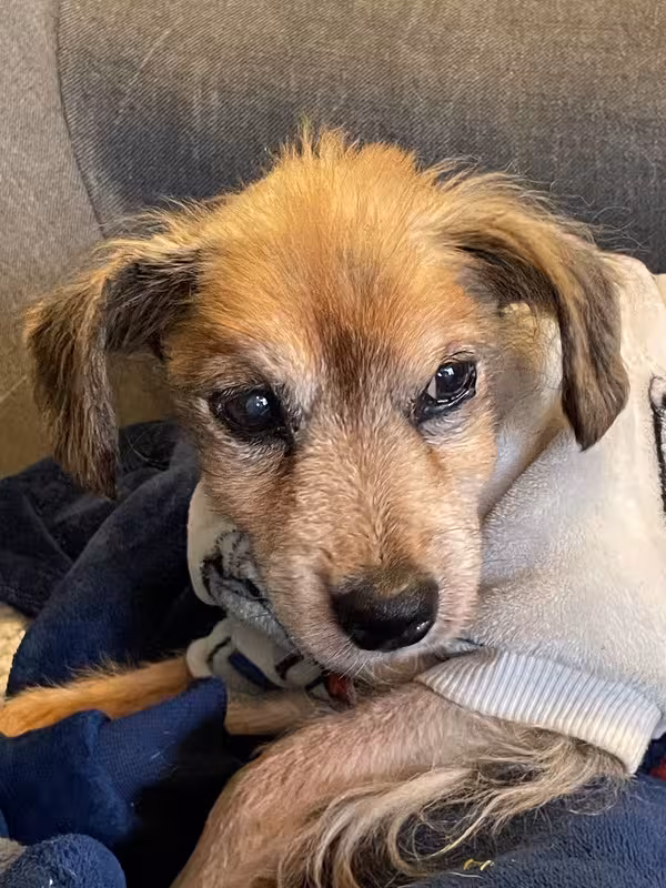 [Image: IMG-20250112-170542.avif]