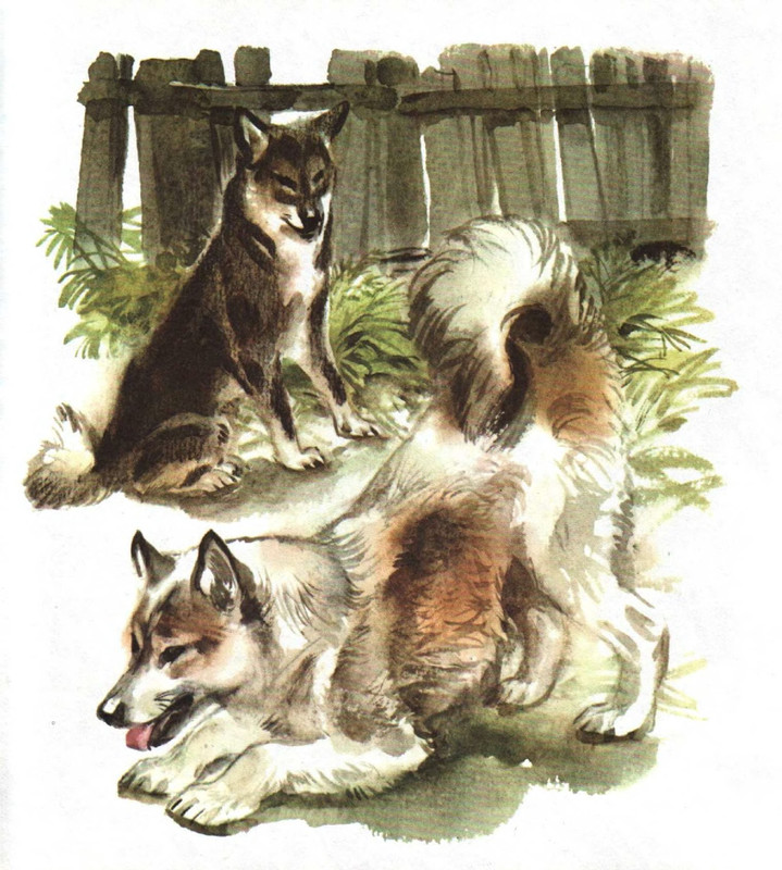 p0010