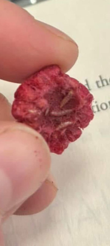 6bb00ace-fc79-47f8-bbb8-86dab9e14d1d