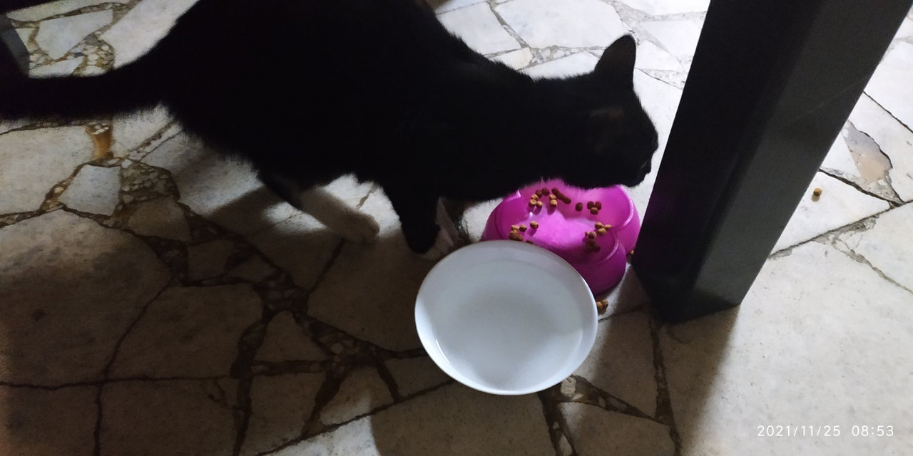 B25D07B1-61E3-4B75-965F-479F330C2072