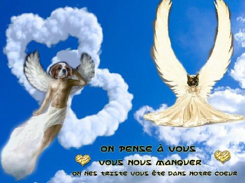 [Image: 12243413-1160454560635904-3920382416230796732-n.jpg]