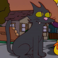 cool-for-cats-alt11.gif