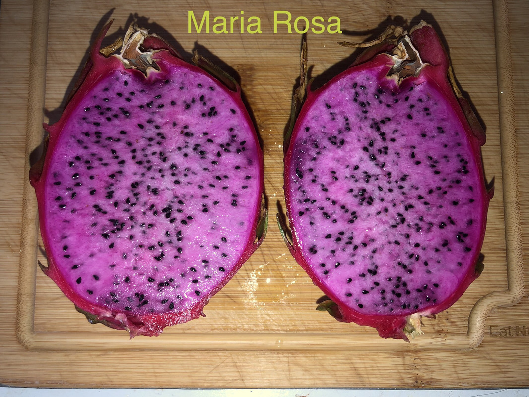 图片_20250122223558