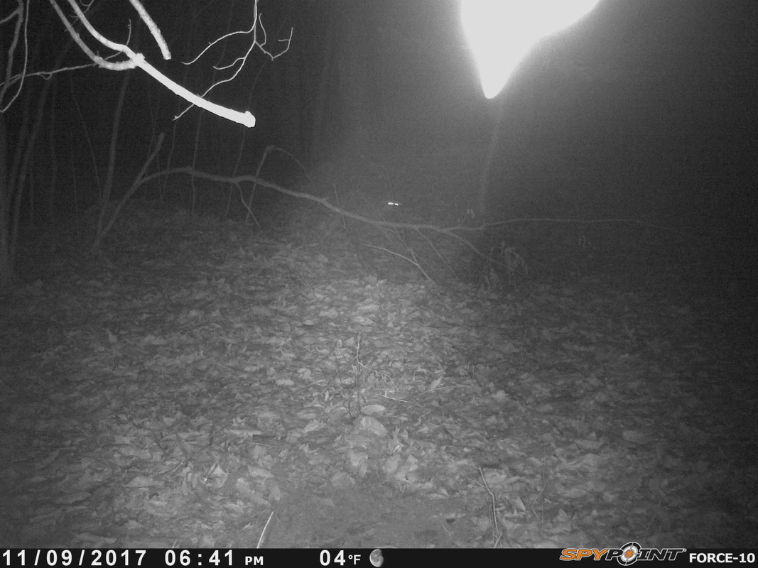 75D90311-D2A1-45EE-9038-22D48C3B556D