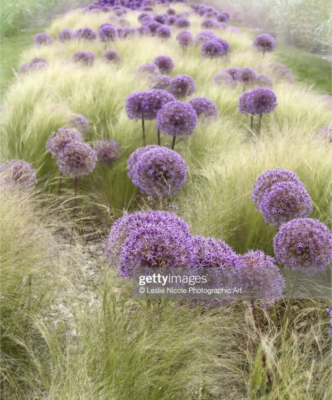 83EC9B1E-3343-433A-AC0B-85CBC4EA6CF7