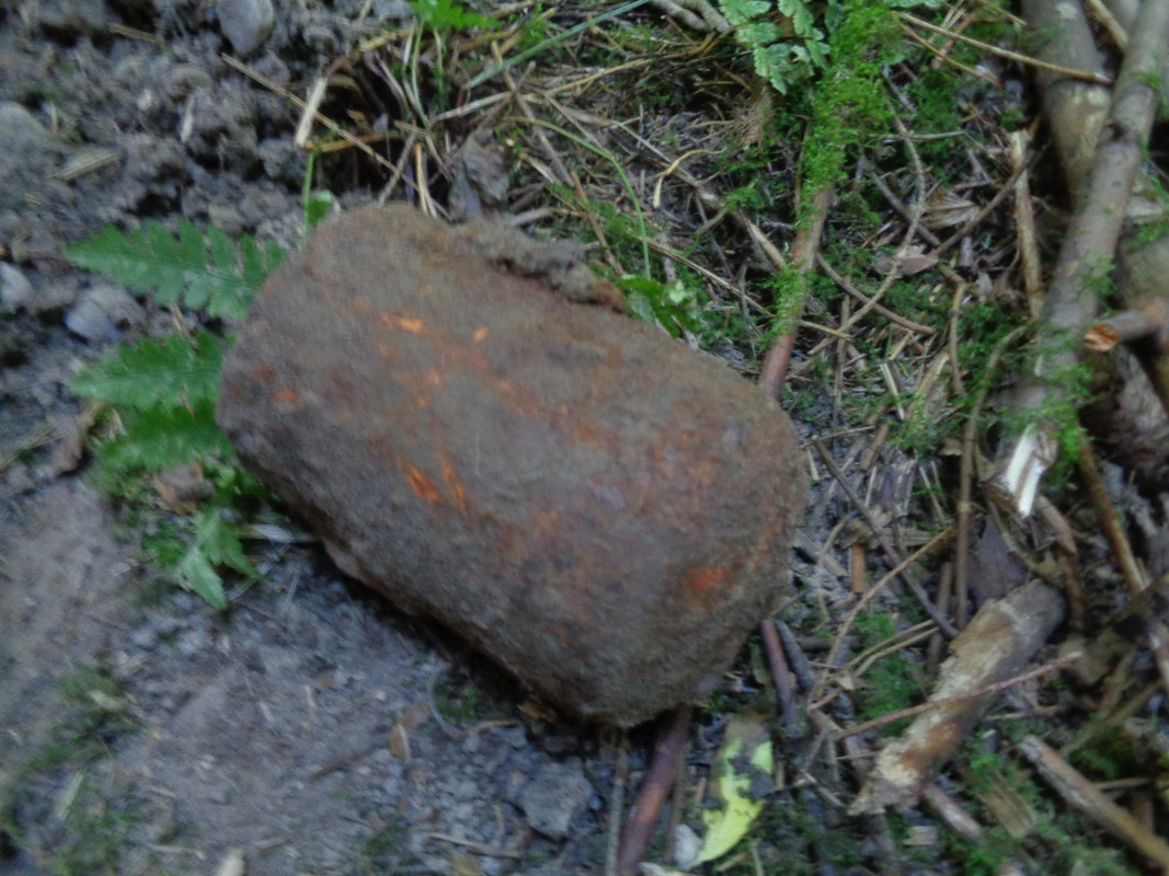 DSC00769