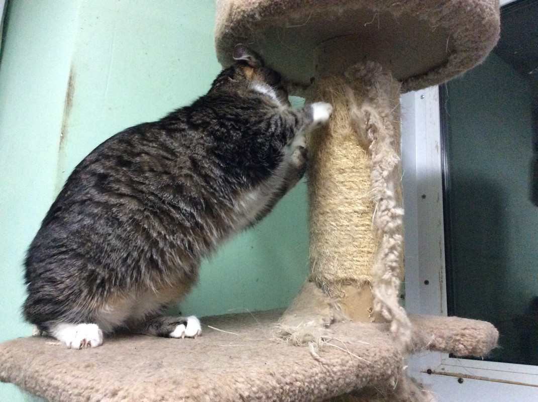 5789277E-C871-442D-B5A9-7F52FB7AE10E