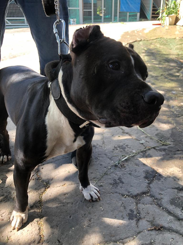 WhatsApp Image 2022-08-11 at 11.09.02 (2)