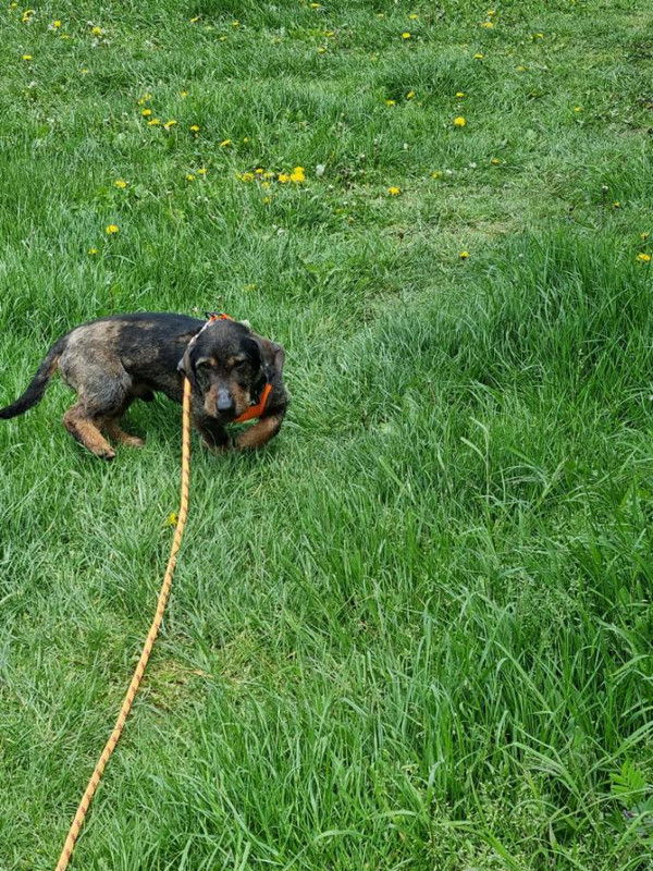 [Image: image000001-31.jpg]