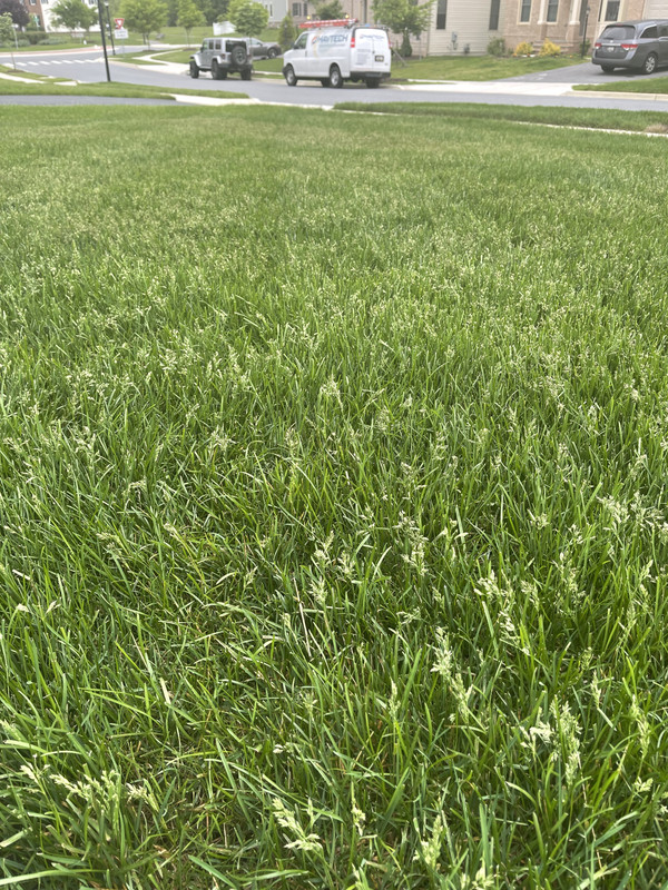 5E8AF883-A3EC-4111-8B85-C40D288CDC3F