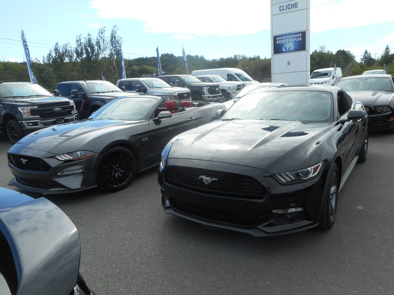 Rendez-Vous Mustang Cliche Auto Ford - 14 août 2022 Cliche2022-18