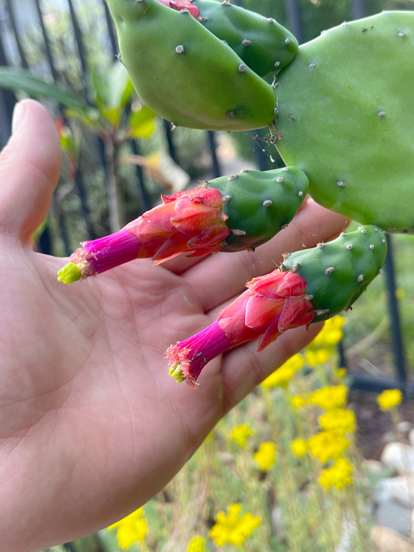 B121C506-5916-40B4-98EE-18763C0512CC