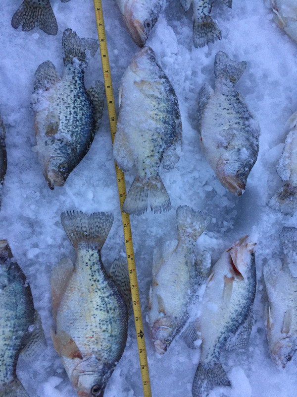 103AE775-30AA-4581-871B-DA11136D8800