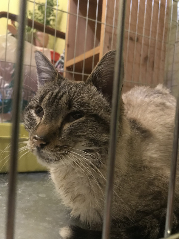 190B990F-0614-42FE-8920-B990BE968C1C