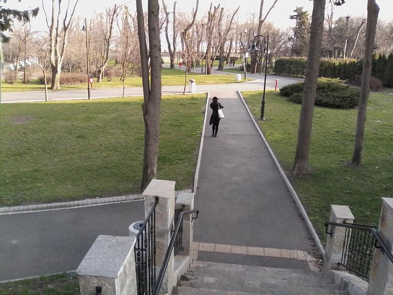 IMG-20190209-154337.jpg