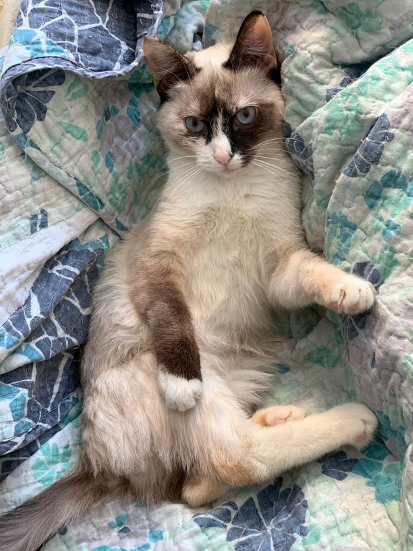 0E8F5455-7DA7-44C8-A7CE-32E8AB5CC00A