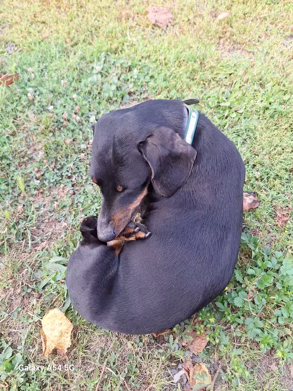 [Image: 20240823-190719.avif]